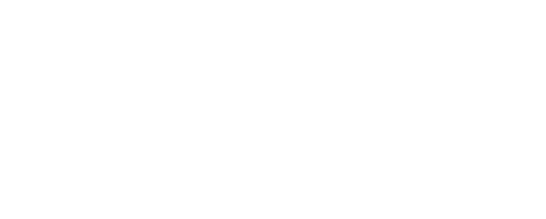 Nik Solution